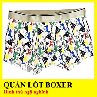 Quần lót nam họa tiết kute - thun mát - kiểu dáng boxer