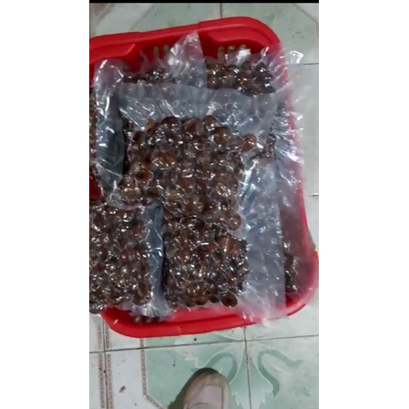 Loại cơm vàng bở ngọt