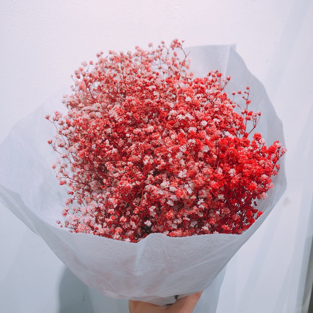 Gypsophila🌸Hoa Baby Khô🌸FREE SHIP🌸Trang trí nhà cửa, events siêu xinh