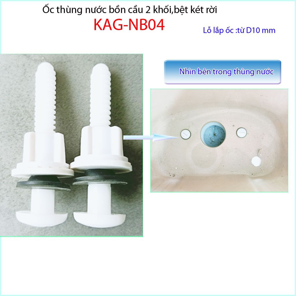 Ốc thùng nước, ốc két nước bệt 2 khối