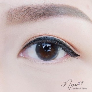 Kính Áp Tròng CHADA GRAY - BROWN ( contact lens )