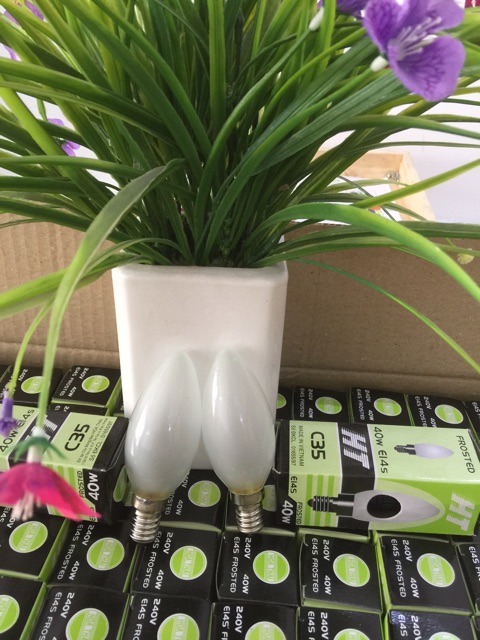 Bộ 2 bóng đèn sử dụng cho hộp đá muối | BigBuy360 - bigbuy360.vn