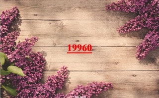 Combo Bảng Gỗ Thương Hiệu kèm Thảm 3D