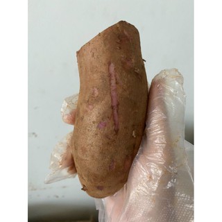 Khoai sâm đất y tý 1kg