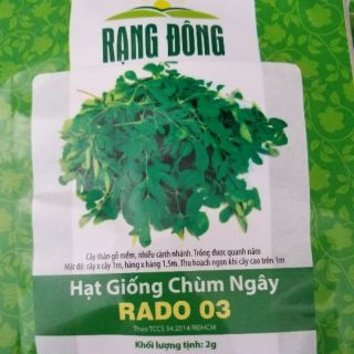2g hạt giống chùm ngây