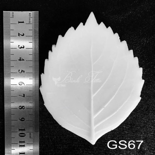 Gân silicon cao cấp lá râm bụt