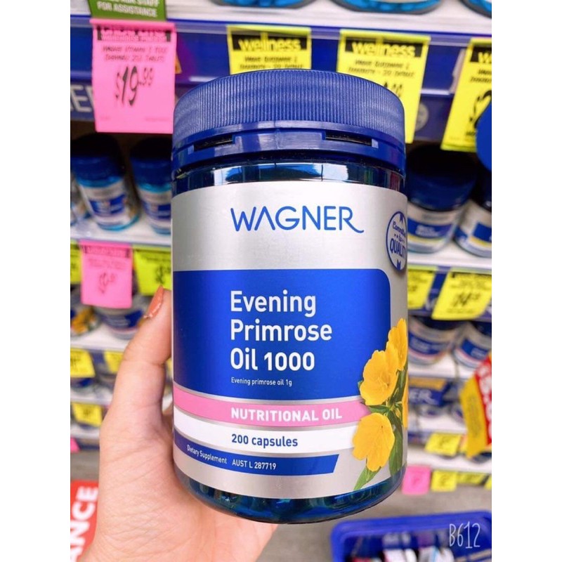 🌸 Tinh dầu hoa anh thảo Wagner Evening Primrose Oil 1000 | Thế Giới Skin Care