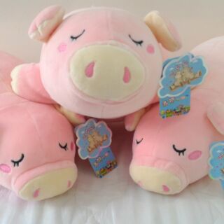 Heo hồng nằm little cucu