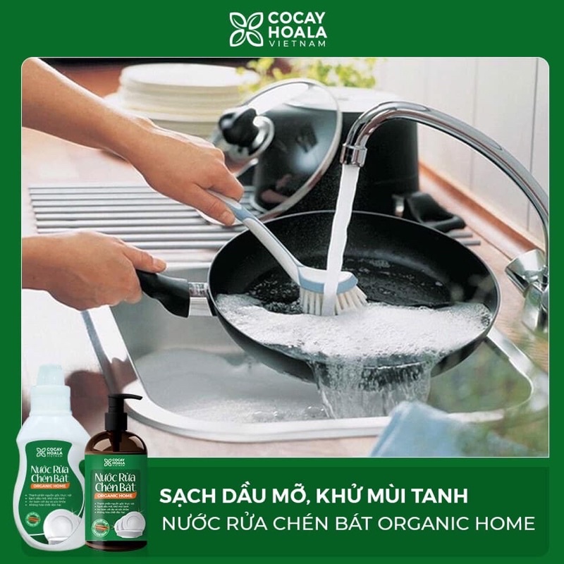 [Chính hãng 100%] Nước rửa chén bát thực vật hương quế 500ml | BigBuy360 - bigbuy360.vn