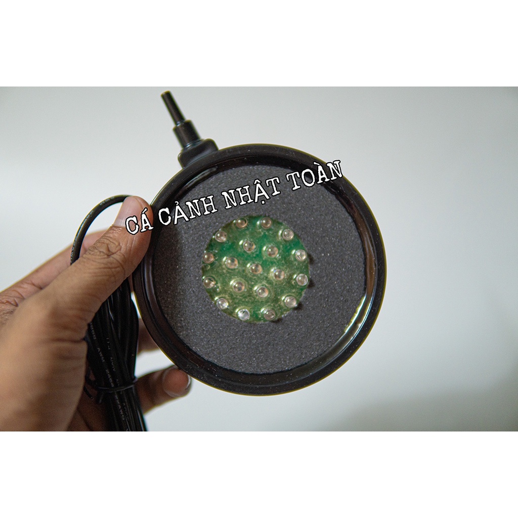 SỦI DĨA OXY CÓ ĐÈN LED BỂ CÁ CẢNH BONETAR