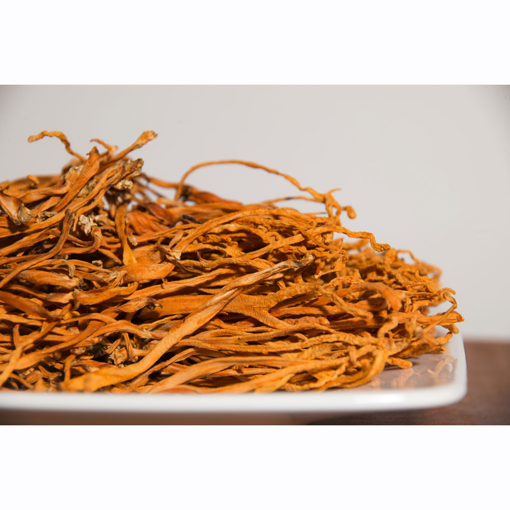 Hoa Đông Trùng hạ thảo khô 100g-ngon | BigBuy360 - bigbuy360.vn