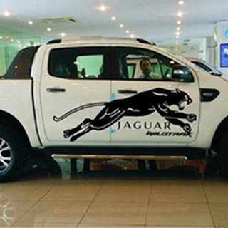 Tem dán sườn xe ford ranger