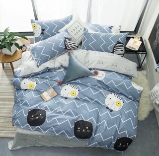 Bộ mền drap phao