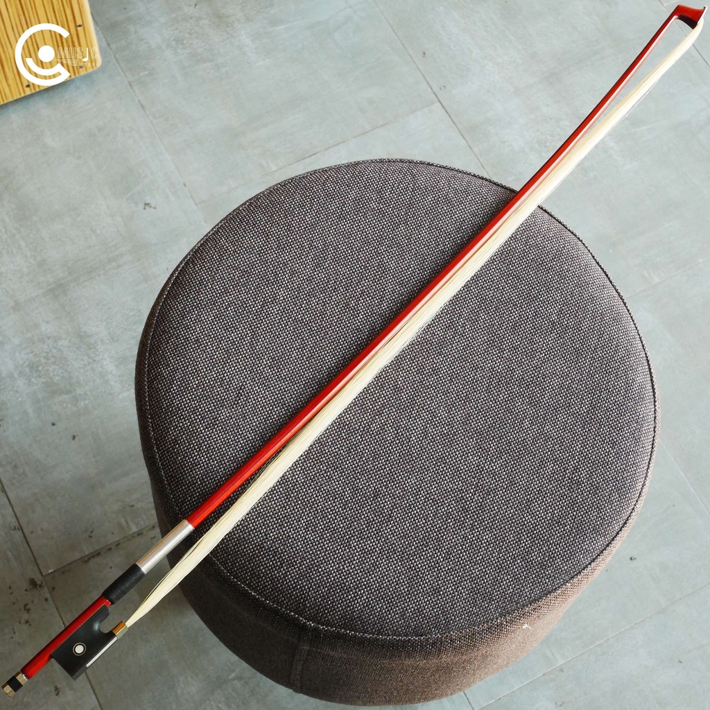 Vĩ đàn Violin