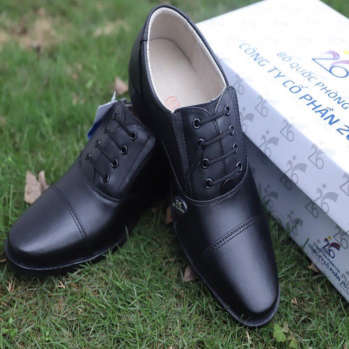Giày da bảo vệ nam