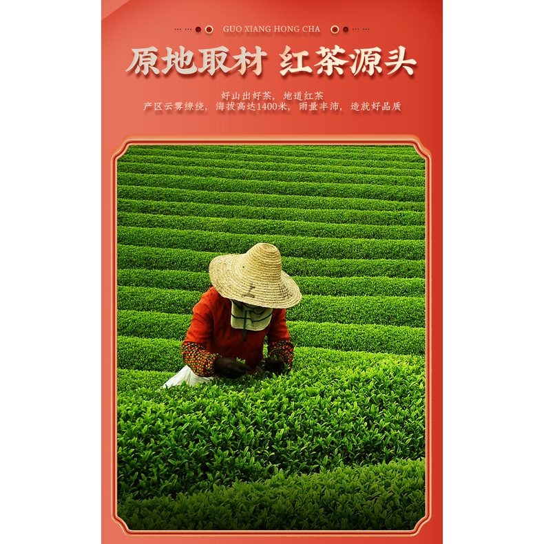 HỒNG TRÀ CHÍNH SƠN TIỂU CHỦNG VŨ DI SƠN THƯỢNG CẤP 150 GRAM (ĐÓNG HỘP THIẾC)