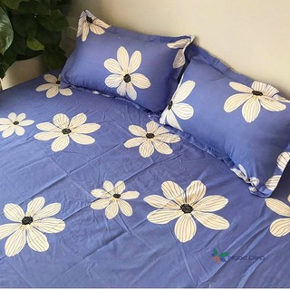 Ga gối cotton poly hoa bèo m6 / m8