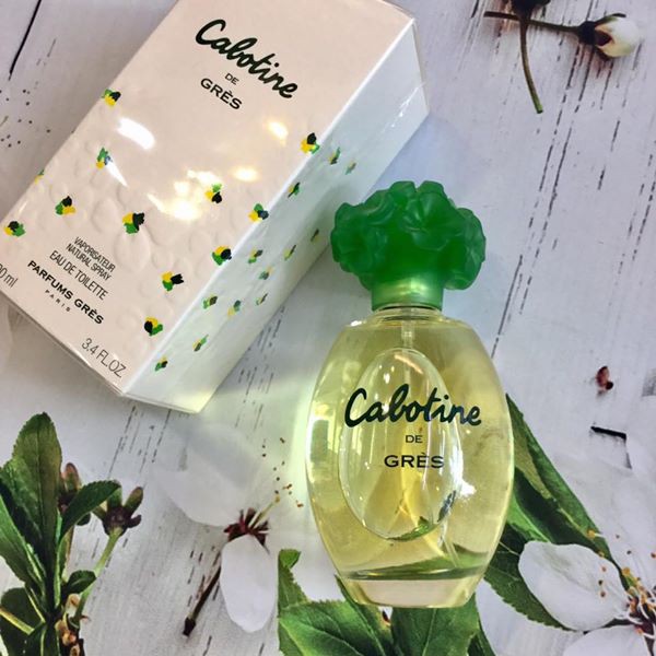 Nước hoa Cabotine De Gres 100ml