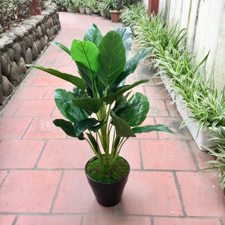 Com bo chậu cây giả trang trí đẹp