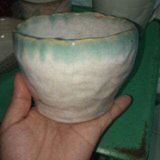 Chậu gốm nhật trồng sen đá
