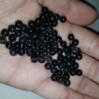 Lẻ hạt tóc đen 4.5 li