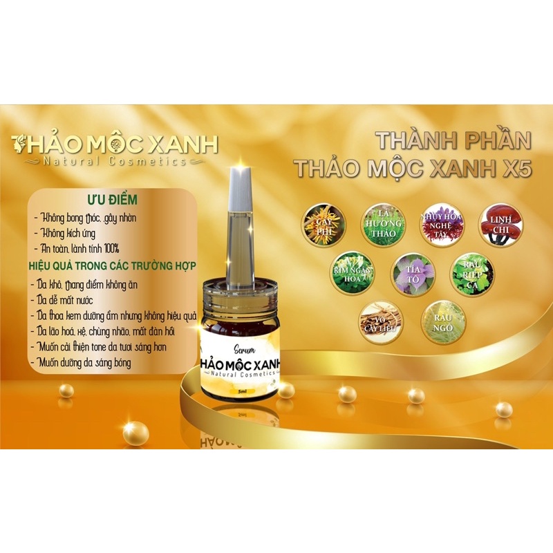 Thảo Mộc Xanh Trắng Da  𝐅𝐑𝐄𝐄 𝐒𝐇𝐈𝐏