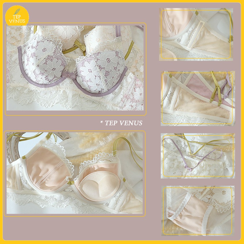 Bộ Đồ Lót - Áo Lót Ren Có Gọng Mút Tháo Rời 2.5cm - TEP-BCG01 | BigBuy360 - bigbuy360.vn