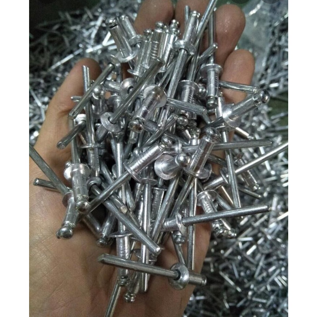 100gr Đinh rút ri vê đủ size