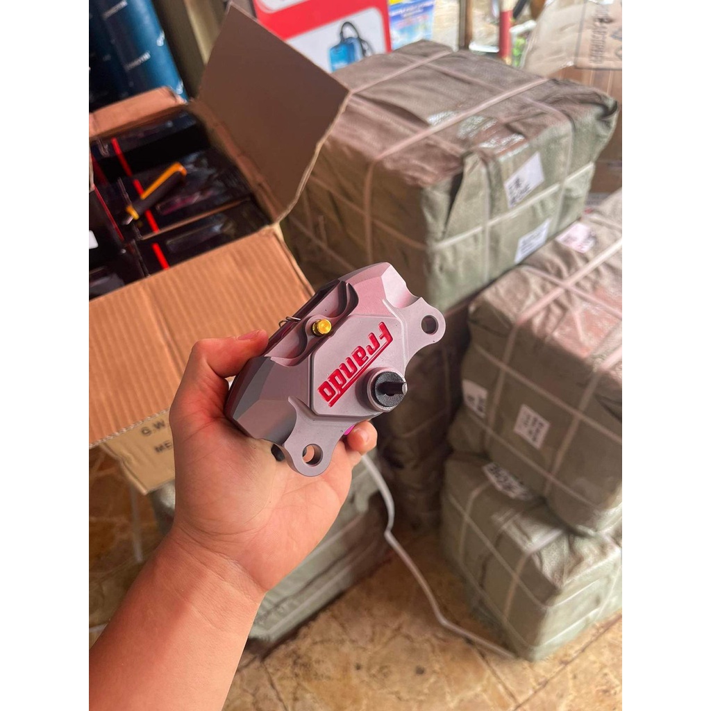 Heo Frando bạc xám