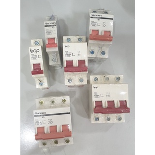 Cầu dao tự động mcb loại 2 cực từ 10a - 50a