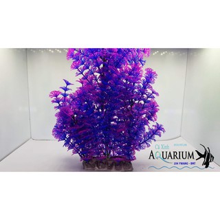 Cây nhựa lớn trang trí bể cá