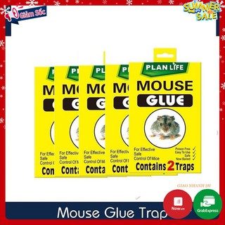 Miếng dán bẫy chuột , dán côn trùng gói 2 miếng