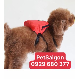 Dây dắt kèm Balo dẫn chó đi dạo, du lịch