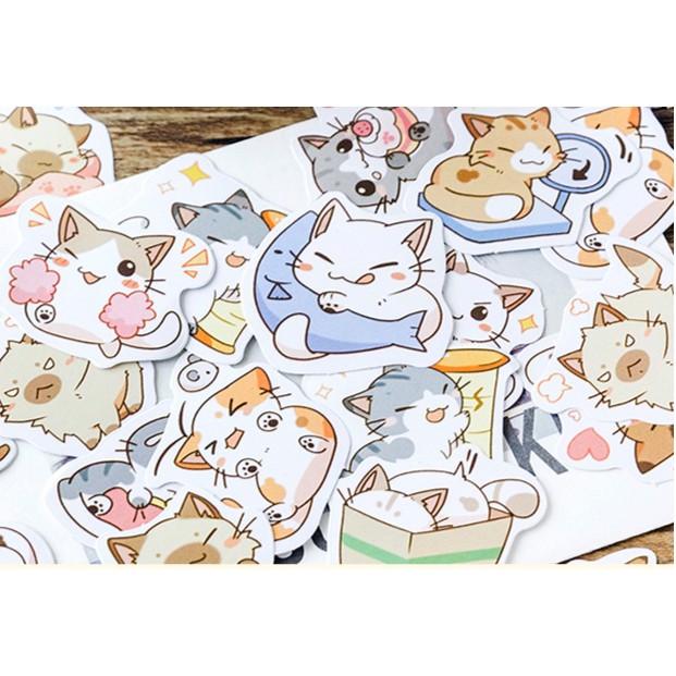 Hộp 45 miếng sticker mẫu những bé mèo con đáng yêu