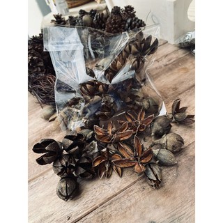 Set hoa khô trang trí dùng làm handmade
