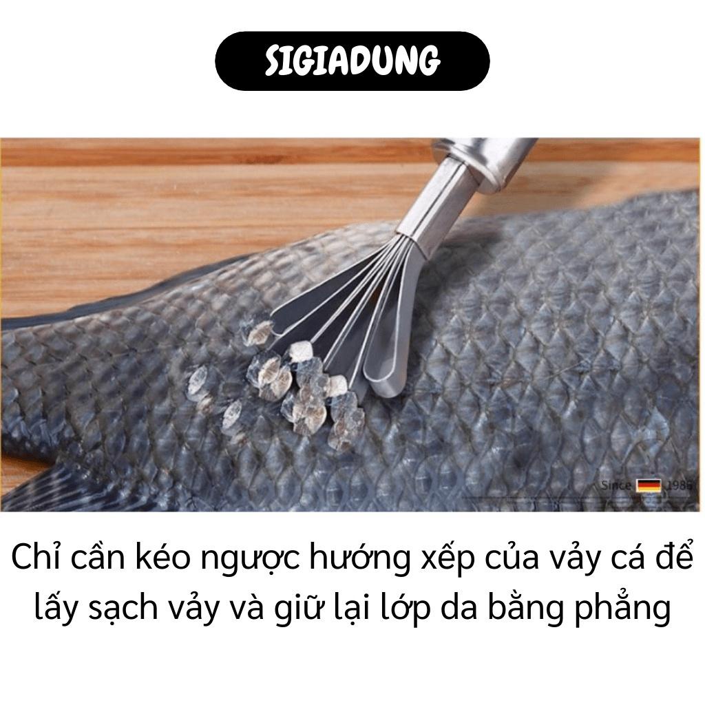 [SGD] Đánh Vảy Cá - Dụng Cụ Nạo Dừa Đa Năng 2in1 Siêu Tốc 5 Rãnh Tròn, Inox 304 Tiện Dụng 3176