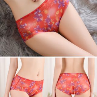 Com bo 10 quần su lạnh tàng hình