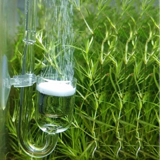 🎈Aquarium Fish Tank CO2 Diffuser Carbon Dioxide Reactor with Ceramic Disc + 2 Suckers