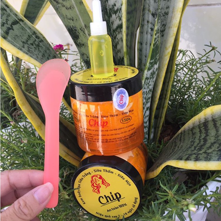 [Ảnh thật] body cốt bạch 2 tầng CHIP | BigBuy360 - bigbuy360.vn