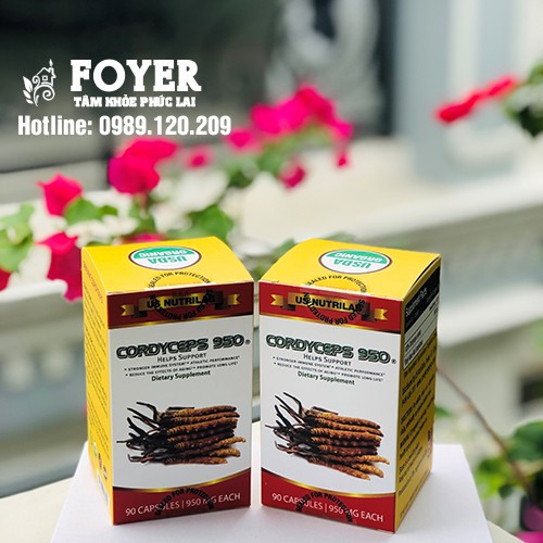 CORDYCEPS 950 - THỰC PHẨM CHỨC NĂNG ĐÔNG TRÙNG HẠ THẢO NHẬP KHẨU TỪ MỸ