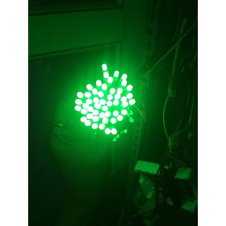 LED RUỒI JIYI 5MM 12V (BÓ 100 BÓNG)
