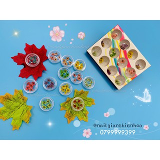 Hoa Khô Nhỏ 12 Màu 60c
