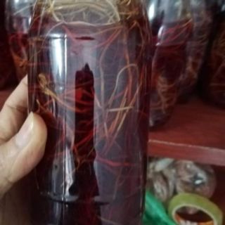 Mốc bạch hạc ngâm.