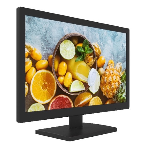 Màn Hình HIKVISION DS-D5019QE-B 18.5&quot; FHD 60Hz - Hàng Chính Hãng