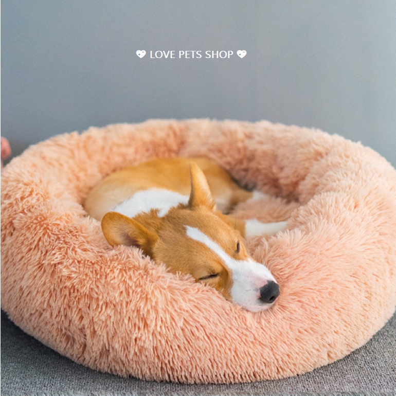 NỆM NẰM CHO CHÓ MÈO LÔNG TRÒN - LOVE PETS SHOP