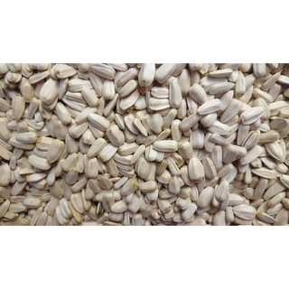 Hướng dương trắng Ai Cập túi 500g - 1kg