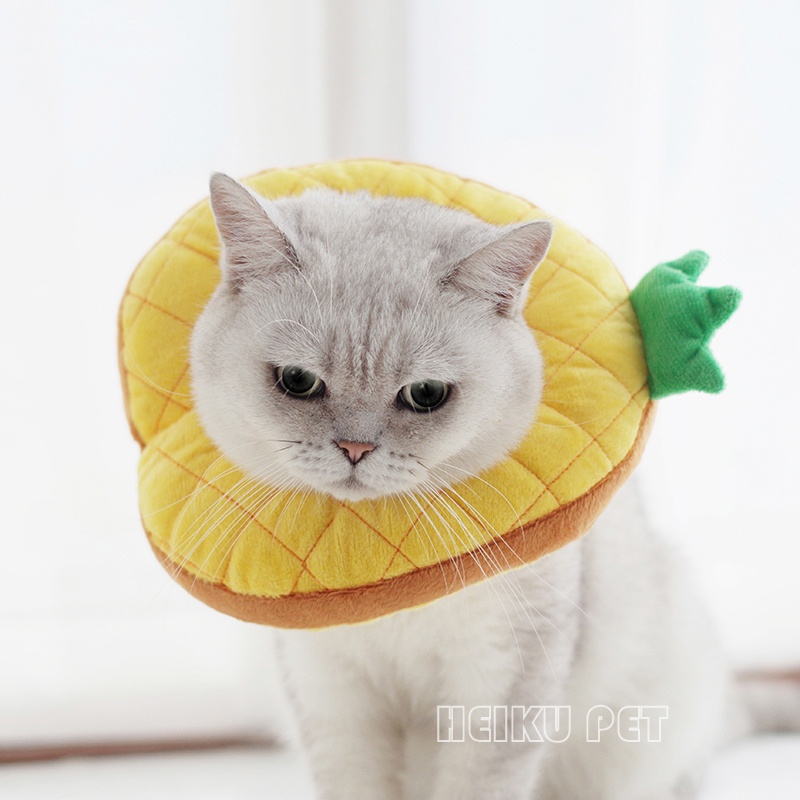 Hàng HOT Vòng chống liếm hình trái cây cho chó mèo bông mềm mịn Dễ thương Phẫu thuật Phục hồi (Chu vi vòng đầu tối đa 26cm)【Tennessee052】