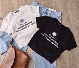 Áo CropTop Thêu Hoa Cúc