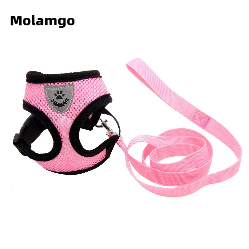 Dây Dắt Thú Cưng Đi Dạo Kèm Dây Xích Tiện Dụng