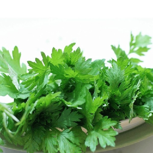 Hạt Giống Rau Ngải Cứu - 50 hạt/gói